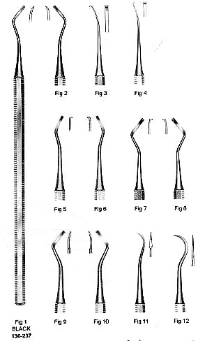 Black Scaler, Octagonal